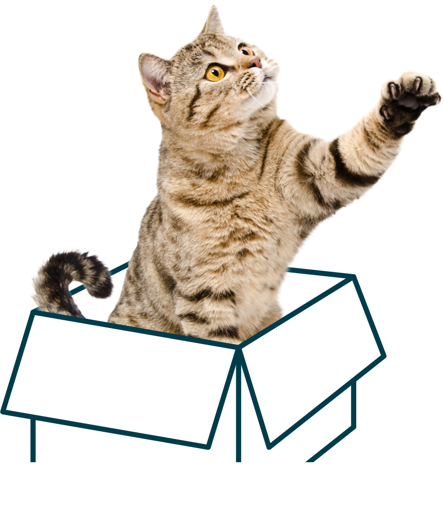 Working in Our Distribution Centers Careers at PetSmart Apply