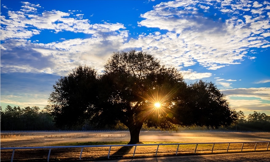 Aiken Region Landscape